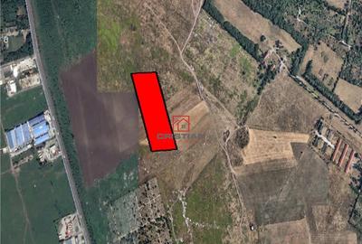 Teren Prelungirea Ghencea, Bucuresti - 3