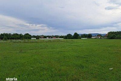 Teren de 17500 mp, în Central - 6