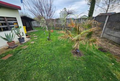 Casă individuală cu 5 camere cu Canalizare în Săcălaz - 6