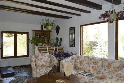 Topoloveni - Conacul Ion Mihalache, Domeniu pe 5 Hectare - 23
