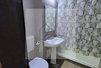 Garsonieră decomandată în Valea Ialomiței - 2