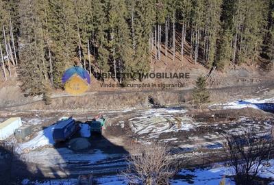 Refugiu Natural: Casa si Teren Inconjurat de Padure ! - 5