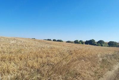 Teren de 1250 mp, în Cândeasca - 5