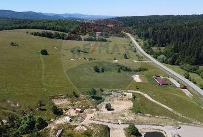 Teren agricol intravilan de 5561 mp, în Păltinoasa - 13