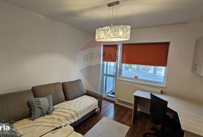 Apartament cu 2 camere, mobilat în Precista - 16