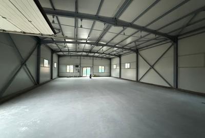 Hala depozitare productie birouri si anexe Hala depozitare productie birouri si anexe - 7