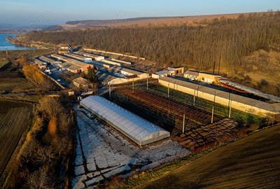 Spațiu comercial, de 50,000 mp, în Horgești - 15