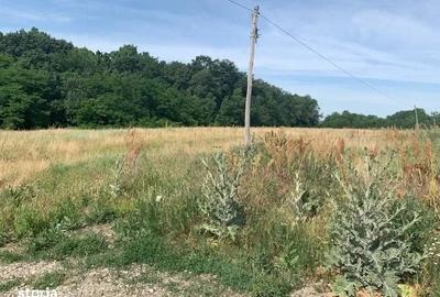 Proprietar vand teren langa Domnesti in Bucsani la padure - 3