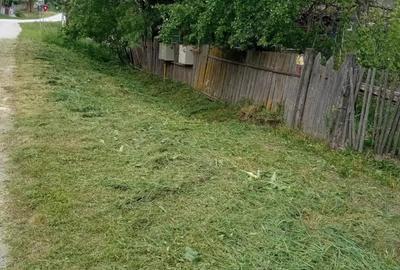 2 case de vinzare IN BOIAN - 2