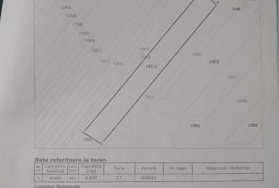 Teren de 3000 mp, în Corbii Mari - 2