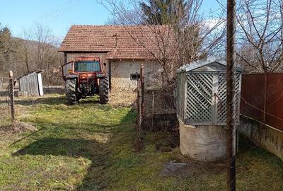 Casă cu 4 camere în Apold - 4