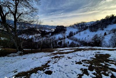 Teren de 4584 mp, în Moieciu - 2