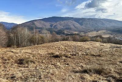 Teren de 29119 mp, în Nucșoara - 3