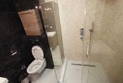 Apartament cu 2 camere decomandat, mobilat în Jiului - 10