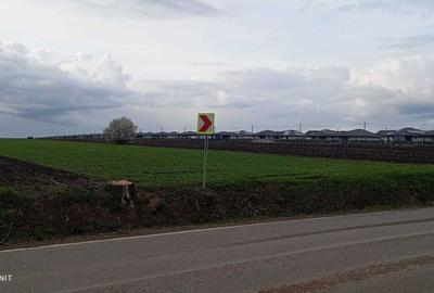 Spațiu comercial, în Proselnici - 5