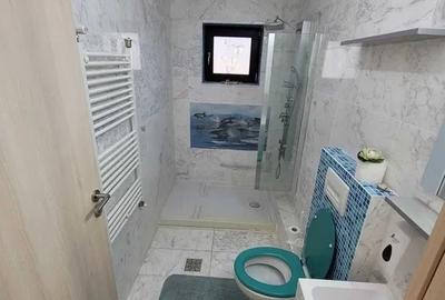 Vilă de închiriat P +1 cu 5 camere, zona Lazu - 8