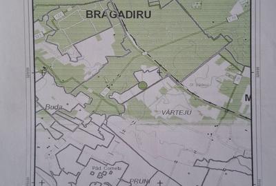 Spațiu comercial, în Central - 2