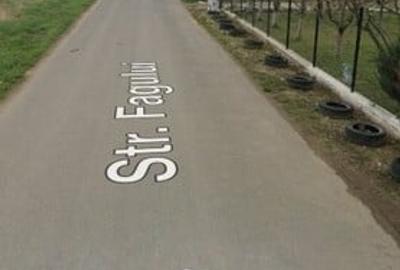 Vanzare Teren Rezidential 1 Decembrie Ilfov 35000mp - 5