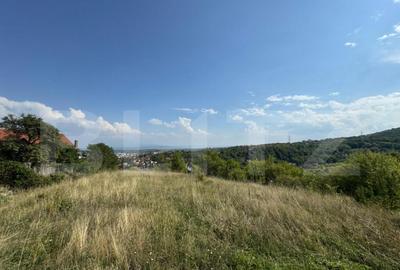 Teren intravilan de vanzare, 1495 mp, in Deva - 5