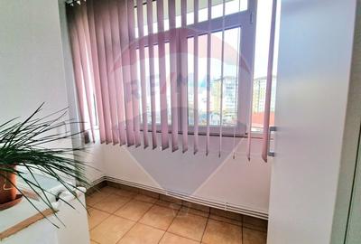 Apartament cu 2 camere semidecomandat, mobilat în Milcov - 10