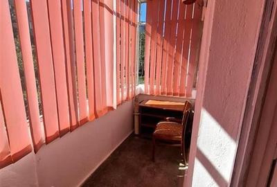 Apartament cu 2 camere, zona Astra- Pet Friendly - 12
