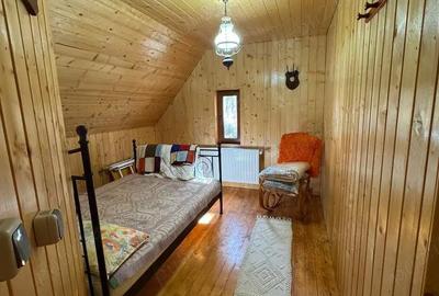 Vila de vanatoare in Santimbru-Bai - 6