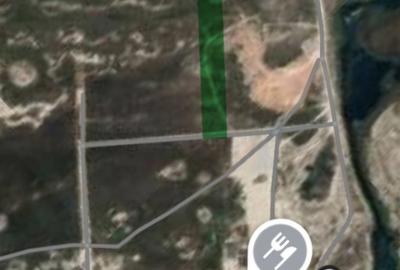 Teren agricol extravilan de 10000 mp, în Vadu