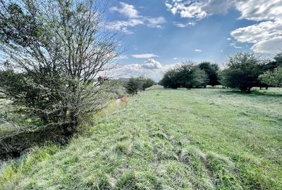 Teren Extravilan - 4