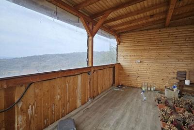 Casă cu 2 camere în Podgoria - 7