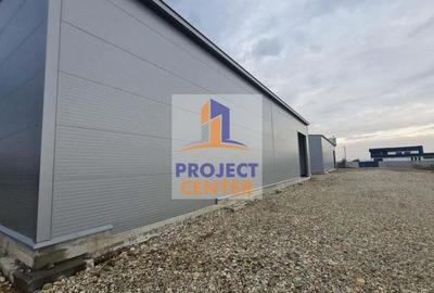 Hala industriala, Bradu, DN 65B - 3