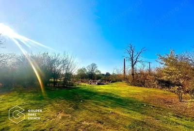 Teren de 71220 mp, în Bârsa - 7