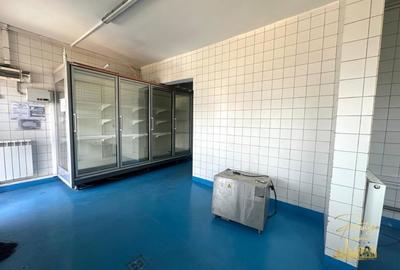 Spatiu industrial - productie alimentara de vanzare str. Fabricilor - 1