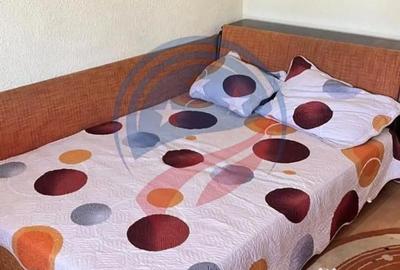 Garsonieră decomandată în Valea Rosie - 2