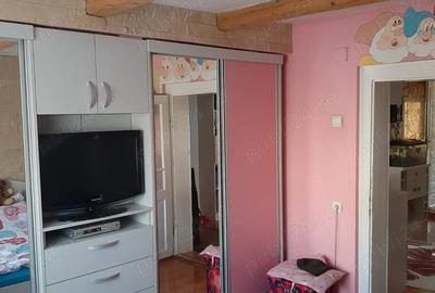 Casa de vanazare in Sandule?ti - 3