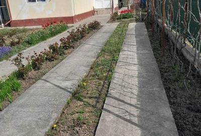 Casă cu 4 camere cu Teren 150 Mp în Cornești - 1