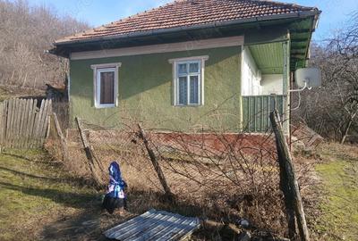 Casă în Blăjani - 1