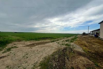 Balaceanca- teren  intravilan, toate utilitatile, 9740 mp, - 2