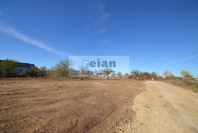 Snagov Ciofliceni - Teren 716 mp, d 30 m, gaz, curent, asfalt, padure Snagov Ciofliceni - Teren 716 mp, d 30 m, gaz, curent, asfalt, padure - 2