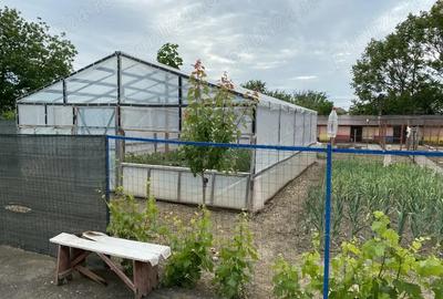 Casă cu 5 camere cu Teren 1000 Mp în Băduleasa - 4