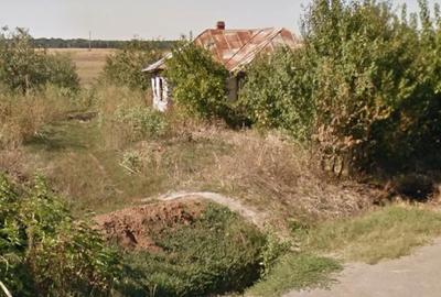 Teren de 3000 mp, în Snagov - 1