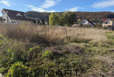 Teren Construcții intravilan de 600 mp, în Sighișoara - 4