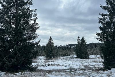 Teren Belis 1000mp - 7