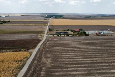 Frumusani - Hobby Arena - teren intravilan cu PUZ aprobat - 2