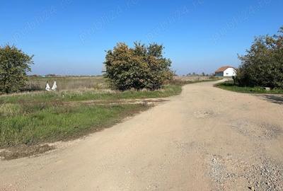 Teren de 22000 mp, în Livada - 7