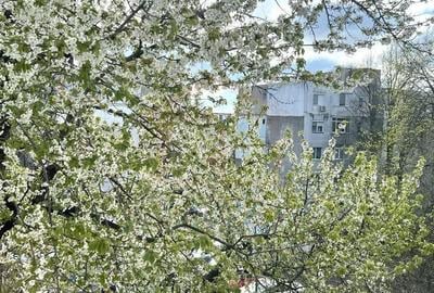 Apartament cu 2 camere semidecomandat în Sârbi - 1