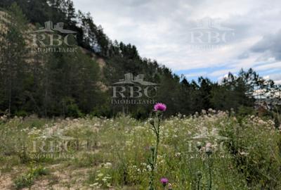Teren intravilan pentru constructie casa in Cheile Baciului - 2