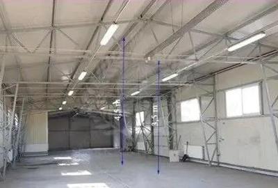 Spațiu comercial, de 360 mp, în Mihai Bravu - 9