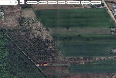 `Teren cu dubla deschidere, langa padure, Snagov - Strada Pa - 7