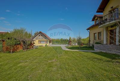 Casă individuală cu 10 camere cu Teren 2789 Mp în Glăjărie - 32