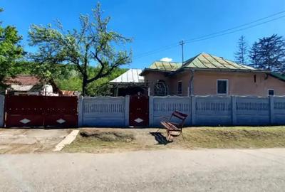 Casă cu 4 camere cu Teren 3600 Mp în Iliești - 3